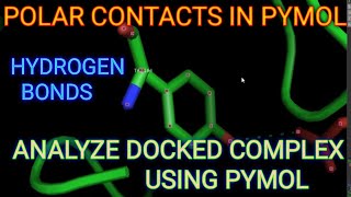 Polar contact in pymol ll Docking ll Xgene and proteinX [upl. by Ahsiliw]