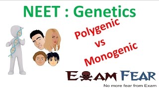 NEET Biology Genetics  Polygenic vs Monogenic Polygenic and Environment [upl. by Giefer661]