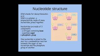 213 Nucleotides and Nucleic acids a The structure of a nucleotide [upl. by Eillil144]