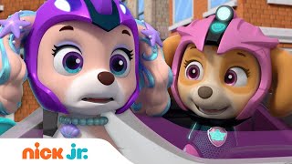 Aqua Pups and Sea Creatures team up to save the Whale Patroller  PAW Patrol  Cartoons for Kids [upl. by Scrivenor]