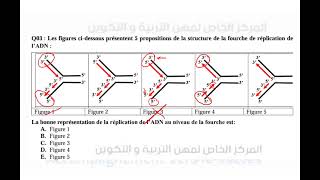 correction concours blanc Podcast [upl. by Tomasz821]