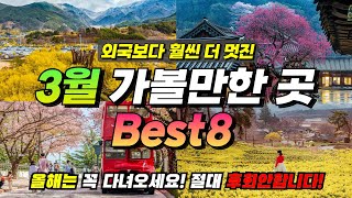 반드시 가야합니다ㅣ봄 맞이 여행하기 좋은 3월 가볼만한 곳 BEST8명소추천 [upl. by Gnourt]