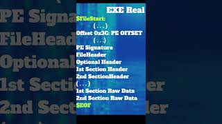 ☢️ HOW HACKERS READ EXE FILES  shorts hacking windows exe malware hacking tips [upl. by Anerehs]