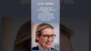 PORTRÄT ALICE WEIDEL AFD SPITZENKANDIDATIN [upl. by Klotz]