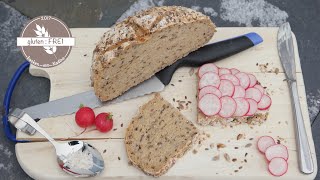 WAHNSINNIG leckeres Brot Körnerkruste  laktosefrei  vegan  glutenfrei backen mit Nadine [upl. by Ilene]