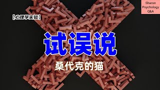 【心理学实验】试误说  因为猫而诞生的心理学理论  桑代克的猫 [upl. by Ahsilrae]