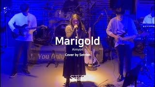 경희대 세틀러 Aimyon  Marigold cover  2023 2학기 정기공연 [upl. by Goar]