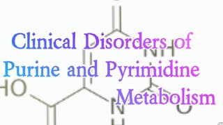 Clinical Disorders of Purine and Pyrimidine Metabolism Biochemistry [upl. by Nyladam118]