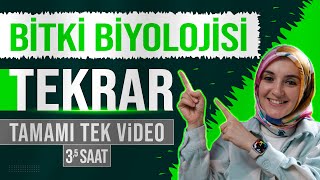 13 Bitki Biyolojisi FULL TEKRAR  12 Sınıf Biyoloji  AYT Biyoloji Konu Anlatımı 13 [upl. by Mart]