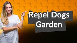 How do you repel dogs from your garden [upl. by Aihtebat270]