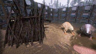 How To Farm cementing pastesilica woodrare mushroomrare flower ark survival evolved mobile👍👍👍👍 [upl. by Enomis]