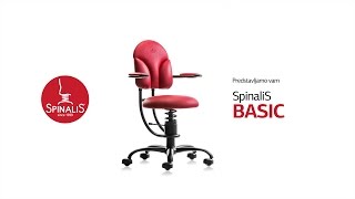 SpinaliS BASIC [upl. by Timrek457]