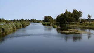 A la découverte de  Les marais de Sacy [upl. by Marabelle]