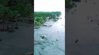 আকাশ থেকে সমুদ্র Drone View sorts viral foryou youtubeshorts dronevideo [upl. by Aniratac]