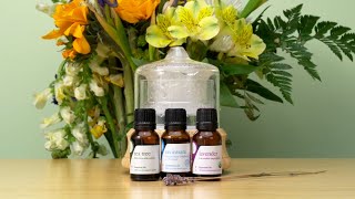 Springtime Air Diffuser Blend [upl. by Ocirled]