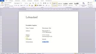 Einfacher tabellarischer Lebenslauf in Word [upl. by Spieler]