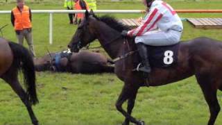 A Horse Falls at the Sligo Races County Sligo Ireland [upl. by Cheston]