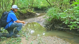 Fishing in a TINY CREEK [upl. by Baldwin31]