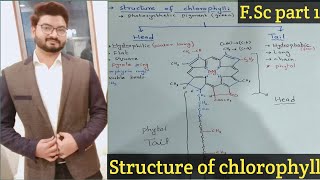 Structure of Chlorophyll in urdu how to draw structure of chlorophyll  fsc biology  class 11 [upl. by Seni]