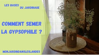 Comment semer la Gypsophile   Monjardindansleslandes [upl. by Kylstra877]