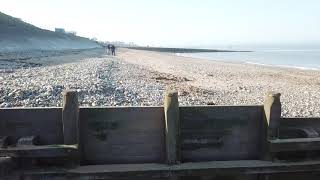 Timber Groyne Construction [upl. by Meilen]