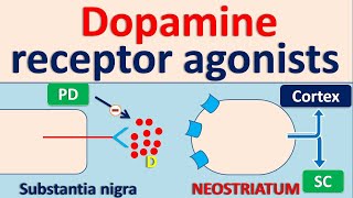 Dopamine receptor agonists for Parkinson Disease PD [upl. by Ecnadnac]