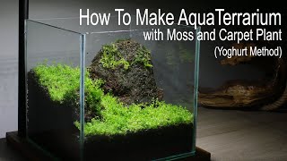 How To Make AquaTerrarium with Moss amp Carpet Plant [upl. by Ezarra700]