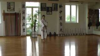 Seibukan no Seisan  Shorinryu Seibukan Karate Okinawan Jinbukan Kobudo Aikido RUSSIA [upl. by Ilyk]