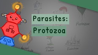 Parasites Protozoa classification structure life cycle [upl. by Alyk924]