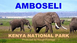 Amboseli Kenya Safari [upl. by Wrench]