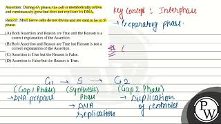 Assertion During \G 1\ phase the cell is metabolically active and continuously grow but doe [upl. by Anatniuq]