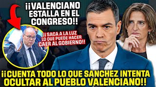 Un Diputado VALENCIANO ¡DEJA EN SHOCK AL CONGRESO😱¡REVELA LO QUE CALLA SÁNCHEZ y RIBERA de la DANA [upl. by Eelam708]