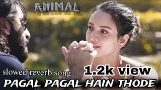 animal movie New song pagal pagal hain thode lofi trending song slowed reverb song mind relax song [upl. by Shore]