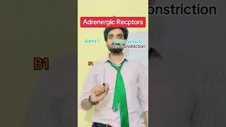 Adrenergic Receptors [upl. by Enialb]