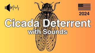 Cicada Deterrent Sound  Essential for America in 2024 Not compatible with iPhone [upl. by Sidonie]