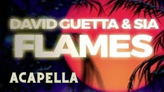 David Guetta amp Sia  Flames Acapella 94bpm F Minor [upl. by Alison]