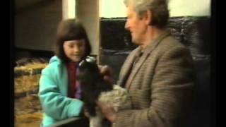 Tumbledown Farm with Dick KingSmith Series 2 episode 4 [upl. by Janeta]