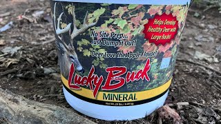 Lucky Buck  Deer Mineral and Attractant [upl. by Fulvia]