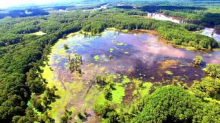 Cypress Sanctuary Caddo Lake Wildlife Refuge [upl. by Nodlew]