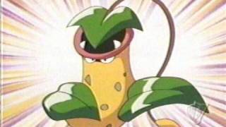 Bellsprout Weepinbell Victreebel [upl. by Orren]