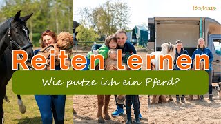 Reiten lernen  Wie putze ich ein Pferd [upl. by Ejrog]