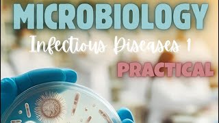 Practical Microbiology ID1  Part 5  Last [upl. by Bing965]