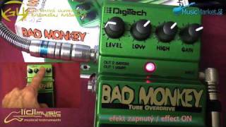 0196Digitech BAD MONKEY tube overdrive [upl. by Wilkens429]