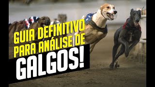 Guia prático para analisar corrida de galgos [upl. by Tombaugh]