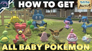 HOW TO GET ALL BABY POKEMON in Pokemon Legends Arceus [upl. by Nareht]