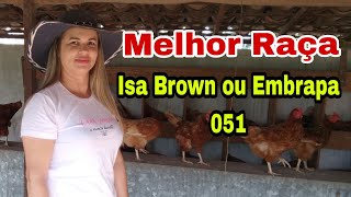 POR QUE PREFIRO ISA BROWN  ou a Embrapa 051 galinhas precisa de galo pra 🥚 pathy vida na roça [upl. by Netsuj]