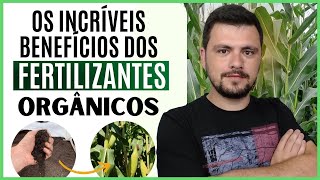 Os incríveis benefícios dos fertilizantes orgânicos I Formação em Adubação Orgânica Profissional [upl. by Merralee221]