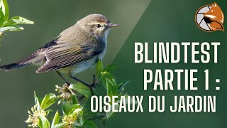 Blindtest  Reconnaître les chants doiseaux du jardin un nouvelle façon dapprendre la nature [upl. by Zamir]