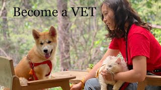 Become a vet 2  Why Study Veterinary Medicine in Eastern Europe [upl. by Valerye440]