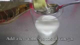 Milk and Vinegar Experiment [upl. by Paul801]